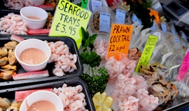 Crowds to kick off Pembrokshire Fish Week at Milford Haven