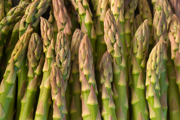 asparagus1.jpg